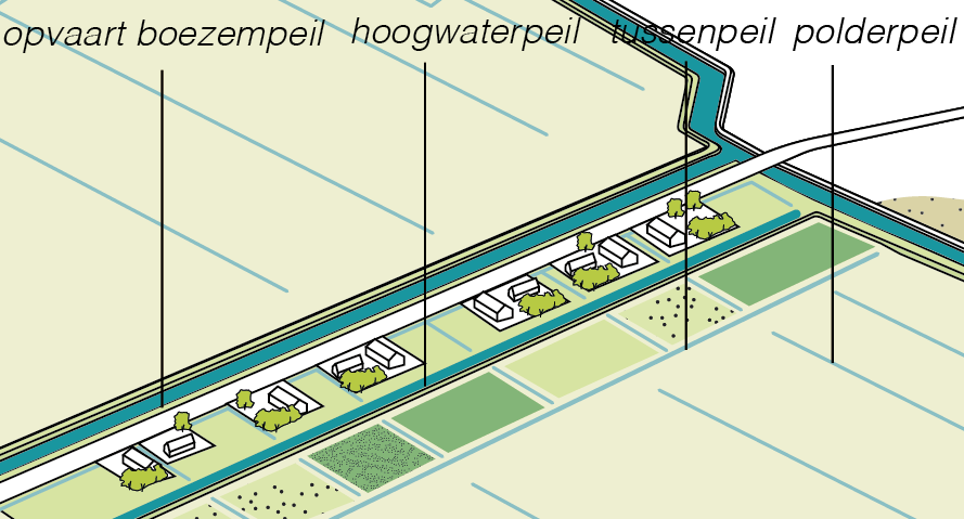 Illustratie van lintbebouwing met tussenpeil ten opzichte van polderpeil